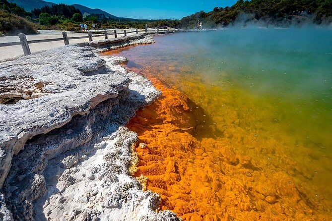 FULL DAY ROTORUA TOUR - Fully Customisable 13 hours Unlimited KMS - Day 1 Rotorua geothermal, Māori culture, and the adrenaline layer