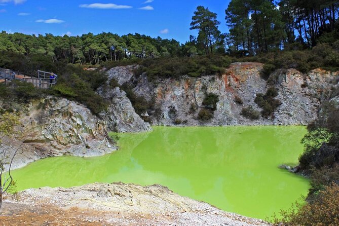 FULL DAY ROTORUA TOUR - Fully Customisable 13 hours Unlimited KMS - Tickets, timing, and small choices that make the day feel better
