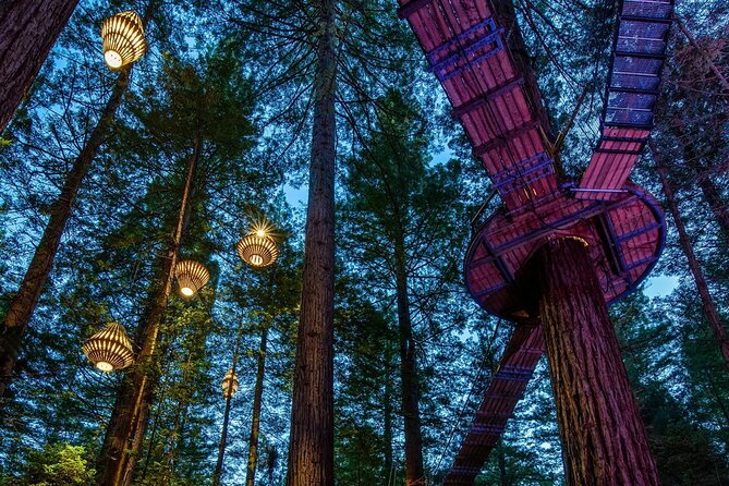 FULL DAY ROTORUA TOUR - Fully Customisable 13 hours Unlimited KMS - Price and what $579 per group really buys