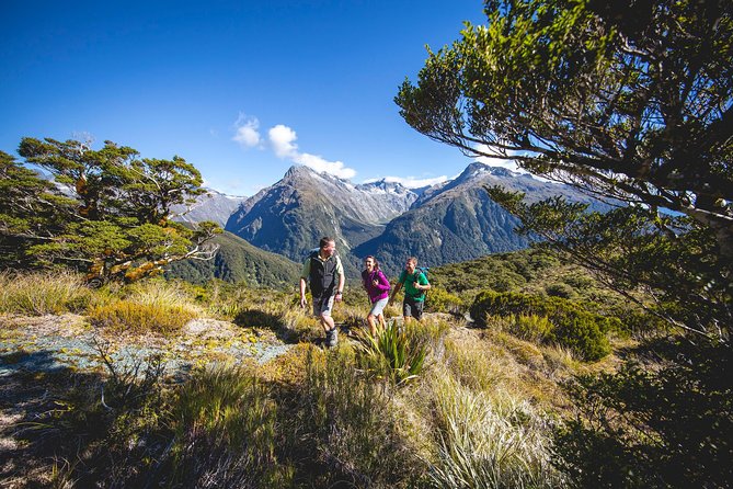 Full-Day Routeburn Track Key Summit Guided Walk from Te Anau - Key things to know before you go