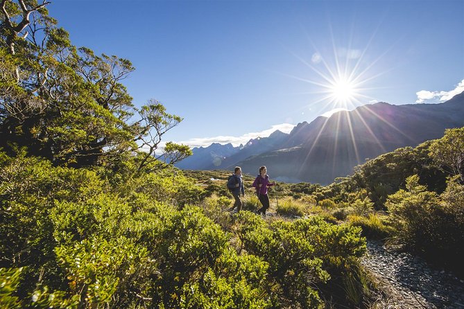 Full-Day Routeburn Track Key Summit Guided Walk from Te Anau - Start at the Divide Shelter: your climb begins right away