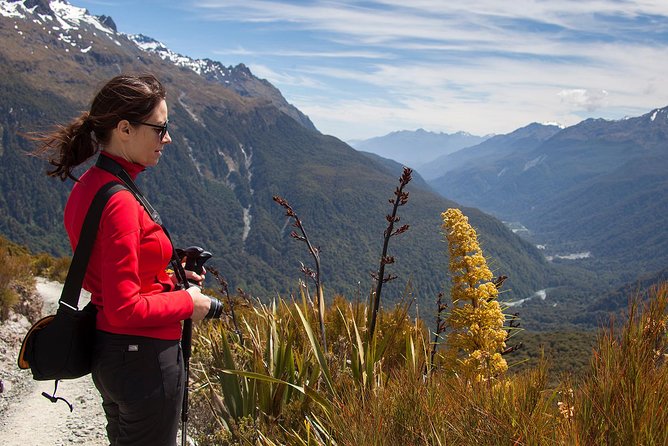 Full-Day Routeburn Track Key Summit Guided Walk from Te Anau - Routeburn Track views: alpine herb fields, peaks, and forests