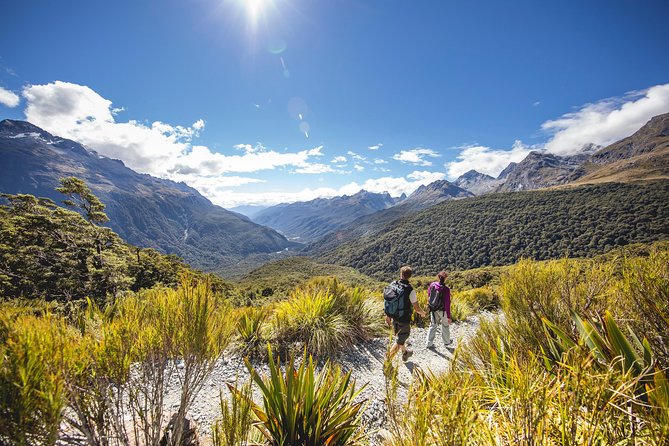Full-Day Routeburn Track Key Summit Guided Walk from Te Anau - The descent back to Divide Shelter: protect your knees and energy