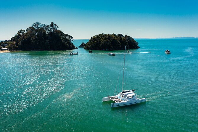 Full-Day Sailing Adventure in the Abel Tasman National Park - Key highlights to look for