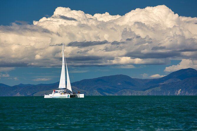 Full-Day Sailing Adventure in the Abel Tasman National Park - Swimming and the short forest walk: the land touch without the strain