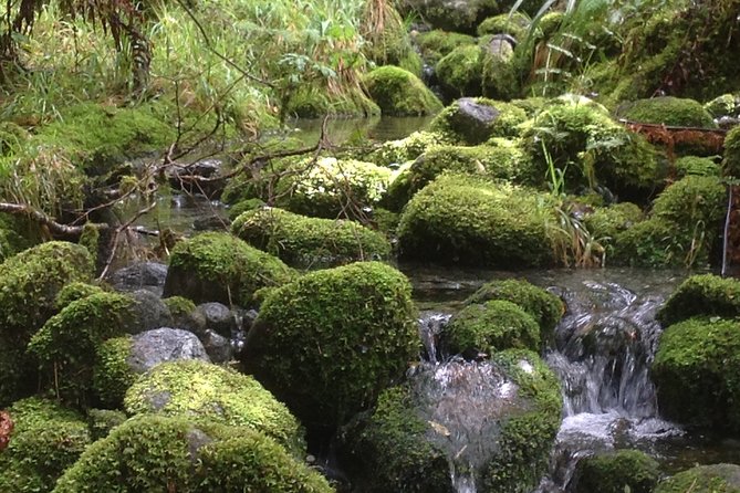 Full-Day Small-Group Routeburn Valley Hike - Lake Wakatipu stop: the fast scenic warm-up