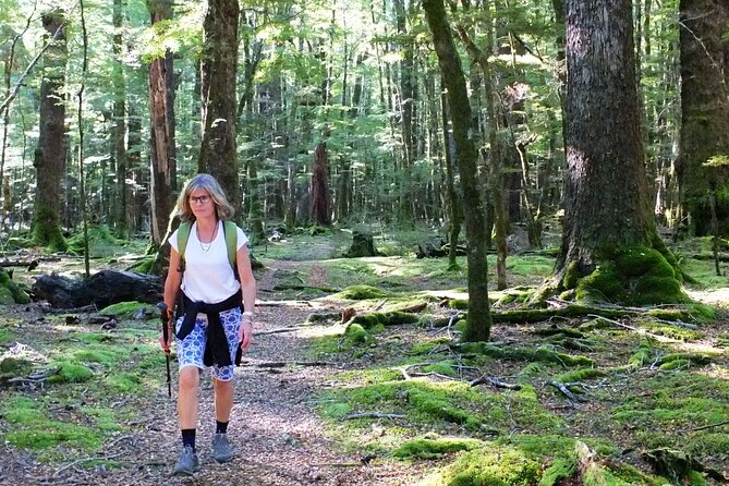 Full-Day Small-Group Routeburn Valley Hike - What is included, and why it matters for value