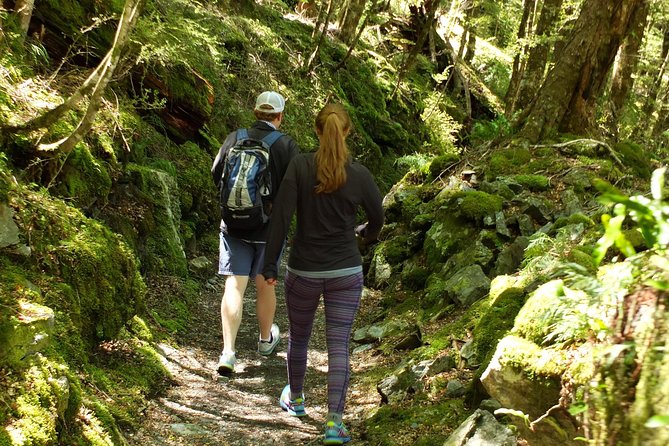 Full-Day Small-Group Routeburn Valley Hike - How the pickup and round-trip transport really changes your experience