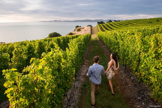 Full-Day Taste the Wines of Marlborough Tour - Key things that make this Marlborough wine day work