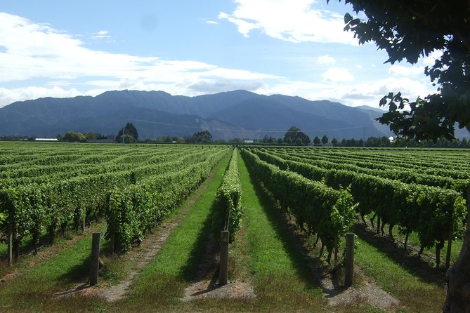 Full-Day Taste the Wines of Marlborough Tour - What you actually taste in Marlborough on this route