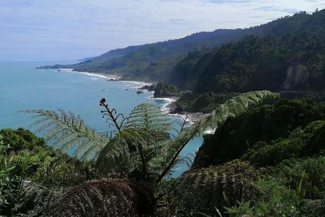Full Day Tour of the Sights and Tastes of the West Coast - Key moments worth planning for