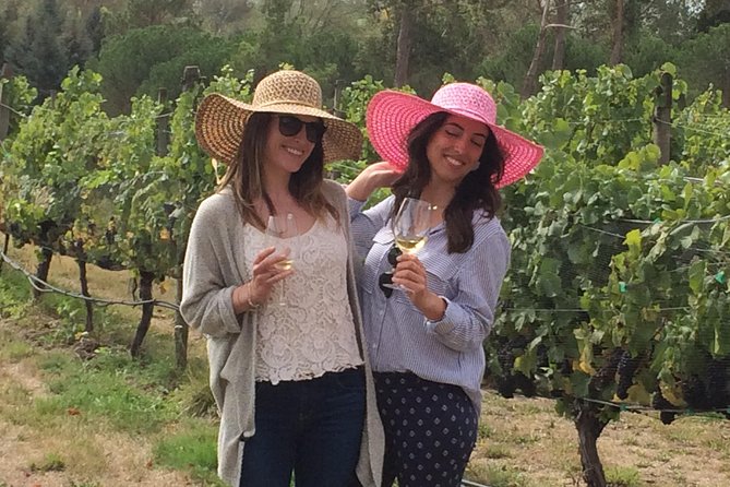 Full-Day Wine Gourmet and Scenic Delight Tour of Marlborough from Blenheim - A Small-Group Marlborough Wine Day Starting From Blenheim