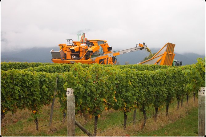 Full-Day Wine Gourmet and Scenic Delight Tour of Marlborough from Picton - Key Highlights at a Glance