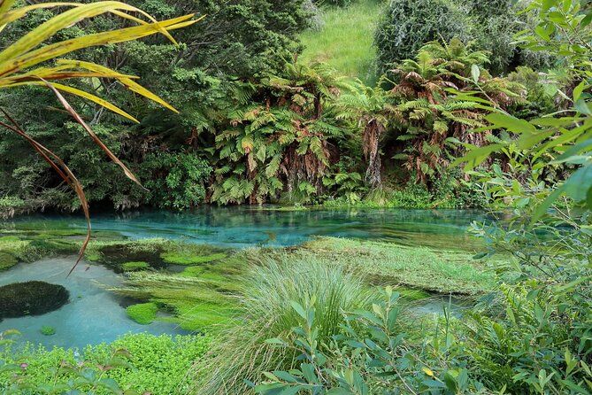 Full-Day Wine Tasting Tour in Auckland with 3-Course Vineyard Lunch - Stop 3: Westbrook Winery in the Ararimu Valley for a respected boutique stop