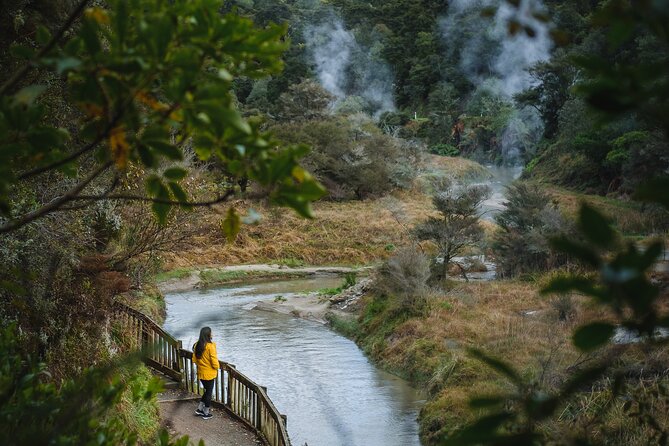 Full Waimangu Experience - Walk & Cruise - What you’ll see on the walk: Frying Pan Lake to Inferno Crater