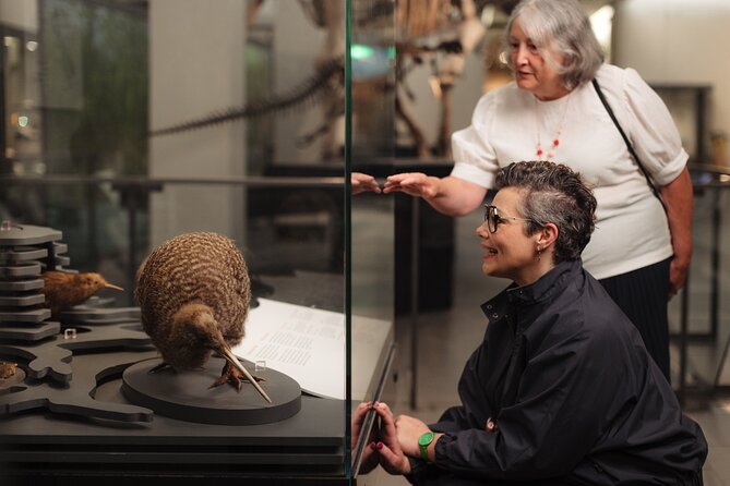 Gallery Highlights Tour and General Admission - The guided hour: Māori culture and Pacific navigation, made readable