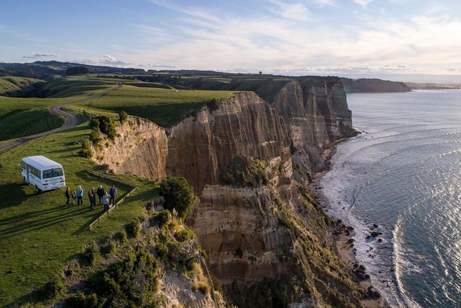 Gannet Safaris Overland tour to Cape Kidnappers Gannet Colony - Cape Kidnappers gannets, close enough to feel the moment