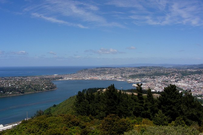 Garden and City tour - Why Port Chalmers days need a tight Dunedin plan