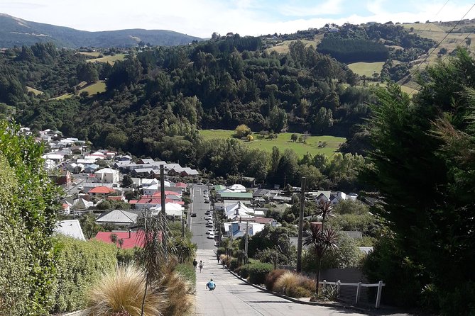 Garden and City tour - Stop 2: Baldwin Street, view it or walk it