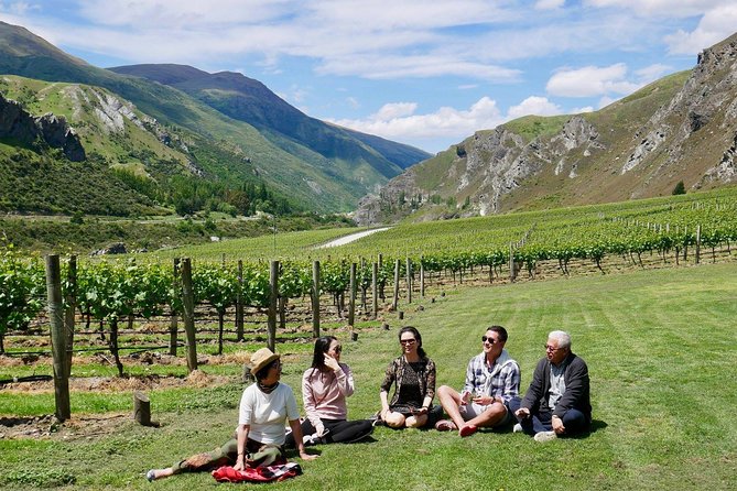 Gibbston Half-Day Private Wine Tour with Hotel Pickup - Central Otago Wine: Why This Region Feels Different