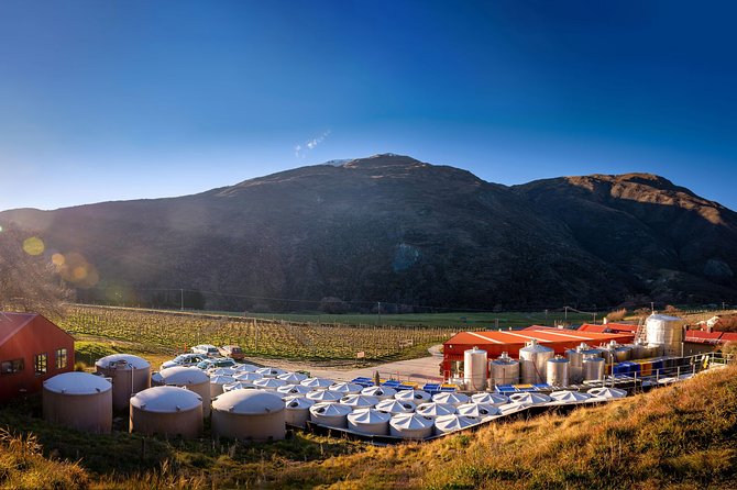 Gibbston Valley Wines - Winery Tour - Timing, Pace, and Who This Tour Is Best For