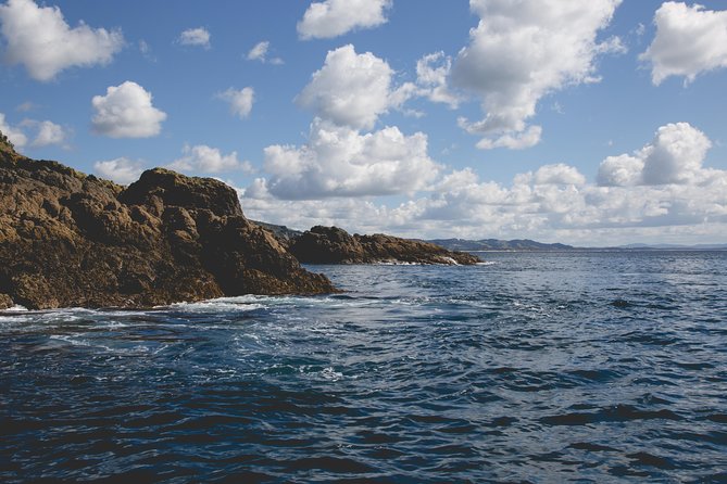 Glass Bottom Boat Tour - Little Barrier Island views and why this route feels like more than one stop
