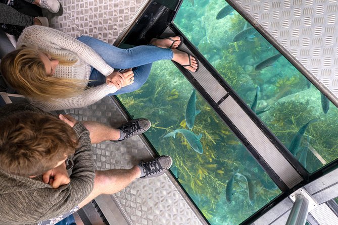 Glass Bottom Boat Whitianga Cathedral Cove Cruise - Key Things to Know Before You Go