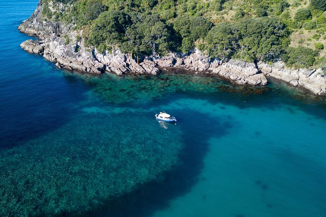 Glass Bottom Boat Whitianga Cathedral Cove Cruise - Mammal Watch Permit: Dolphins, Whales, Orca, and Seals Without the Chaos