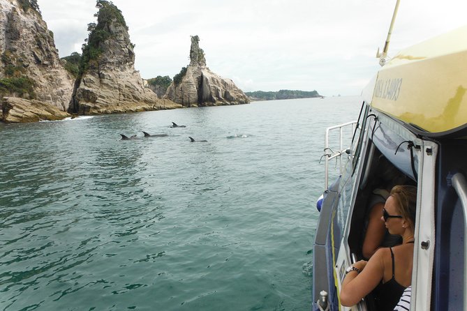 Glass Bottom Boat Whitianga Cathedral Cove Cruise - Small-Group Feel, Friendly Crew, and Comfort on a 14-Person Max Tour