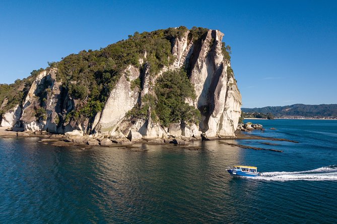 Glass Bottom Boat Whitianga Cathedral Cove Cruise - Price and Value: Where $93.09 Makes Sense