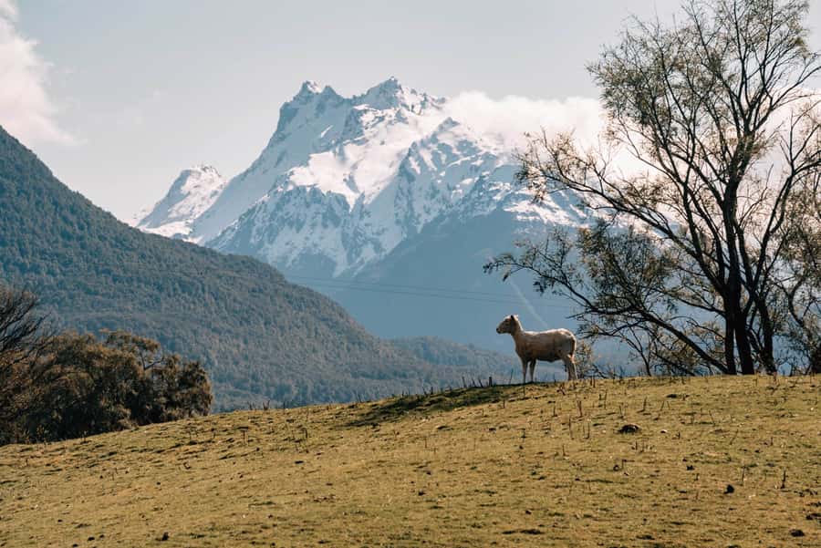 Glenorchy: 4WD Lord Of the Rings Tour Half-Day - Isengard at the Dart River stop, with Mt Earnslaw views