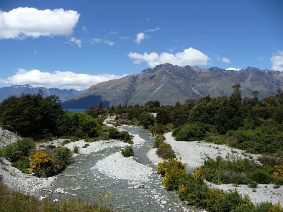 Glenorchy: 4WD Lord Of the Rings Tour Half-Day - Paradise Valley and the Forest of Lothlorien moment