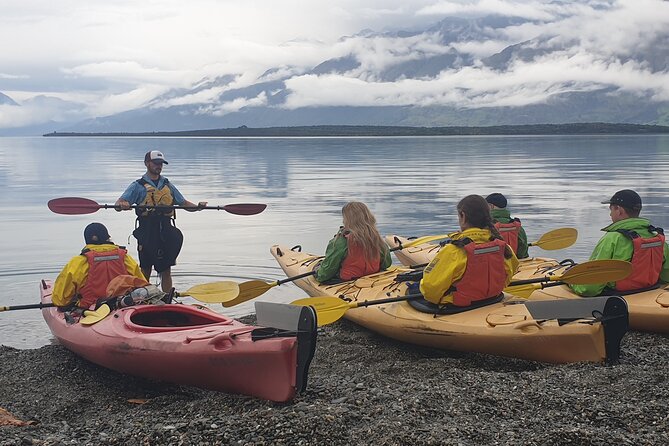 Glenorchy Island Safari, Self-drive option - Mount Aspiring National Park: what you’re seeing from the water