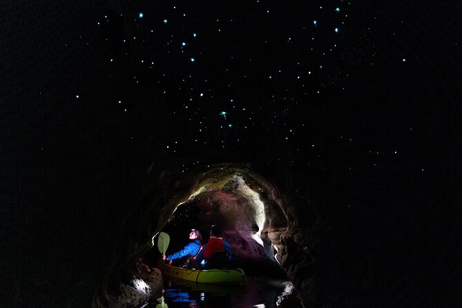 Glow Worm Kayak Tour - Key Things You’ll Notice on This Tour