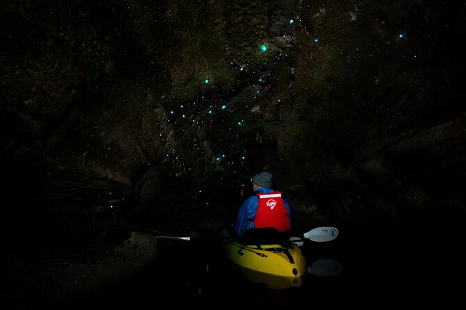 Glow Worm Kayak Tour - From Fenton Street To The Lake: The Night Starts Early Enough