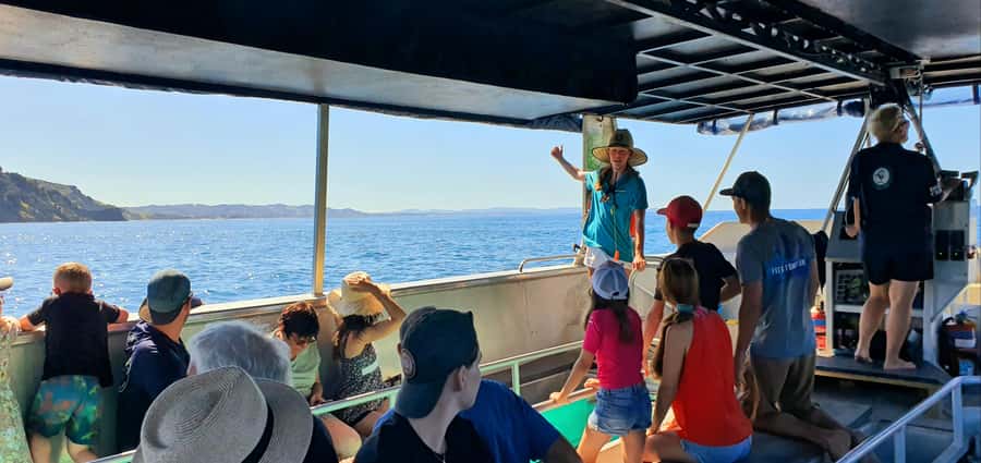 Goat Island: Glass Bottom Boat Tour - A dry, one-hour way to see Goat Island’s underwater world