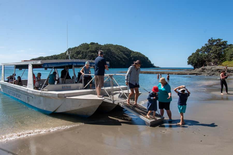 Goat Island: Glass Bottom Boat Tour - What marine life you might see, and what to expect if you don’t