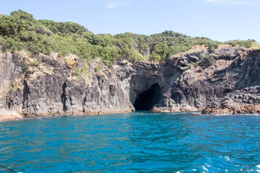 Goat Island: Glass Bottom Boat Tour - Scenery and comfort: why this boat ride feels easy