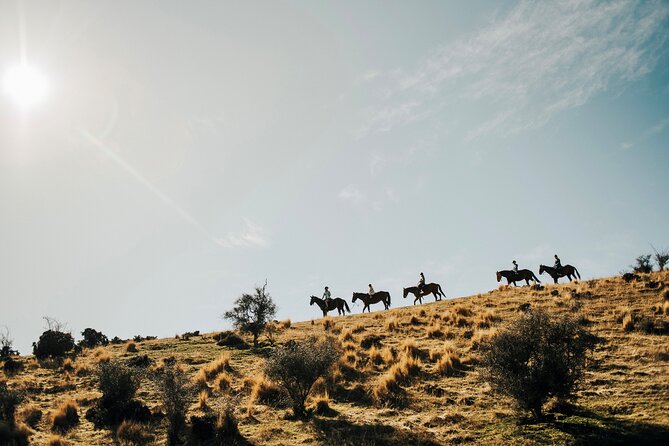 Gold Discovery Trail Horse Trek Cardrona - Most popular! - Gold Discovery Trail Horse Trek: 6 reasons it’s so popular