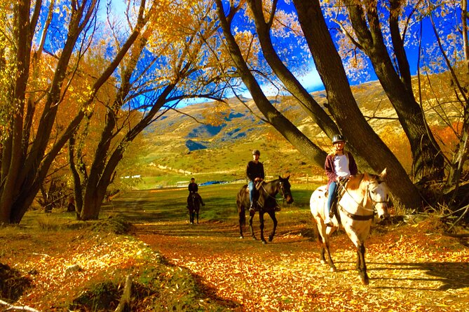 Gold Discovery Trail Horse Trek Cardrona - Most popular! - Horse matching and first-timer confidence, what to expect