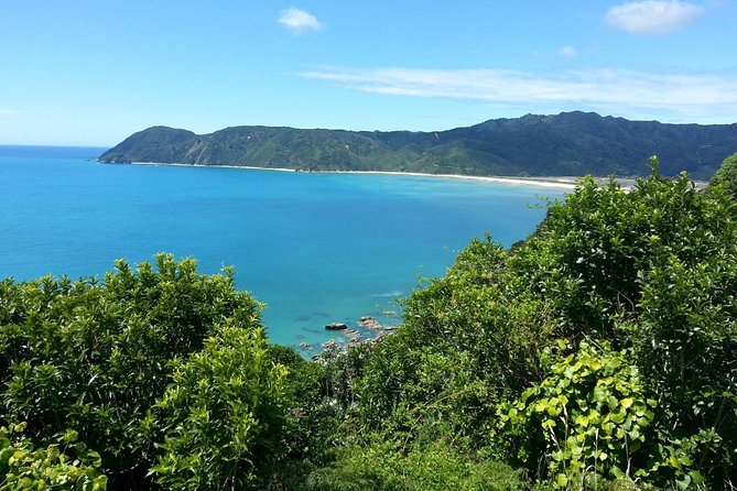 Golden Bay in a Day - Golden Bay in a day from Nelson, without the mountain drive stress