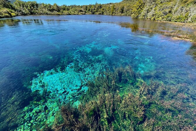 Golden Bay in a Day - Takaka Hill viewpoints, granite outcrops, and Ngarua Cave stops