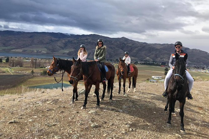 Golden Hills Horse Trek in Central Otago - Key things to know before you book