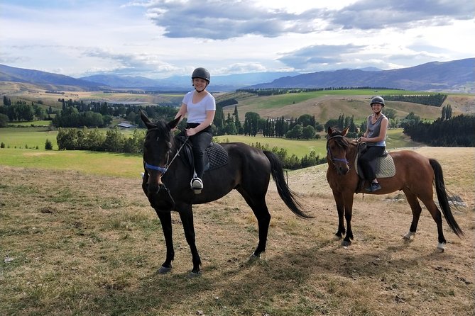 Golden Hills Horse Trek in Central Otago - Who this ride suits best, and where it might not