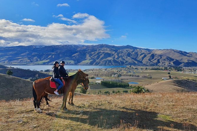Golden Hills Horse Trek in Central Otago - Pacing on horseback: leisurely does not mean boring