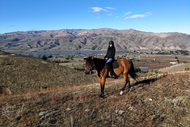 Golden Hills Horse Trek in Central Otago - The horses do the heavy lifting, and you’ll notice