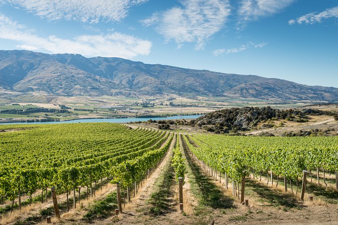Gourmet Food and Wine Tour Queenstown All-Inclusive Tour - Key things that make this Central Otago day work