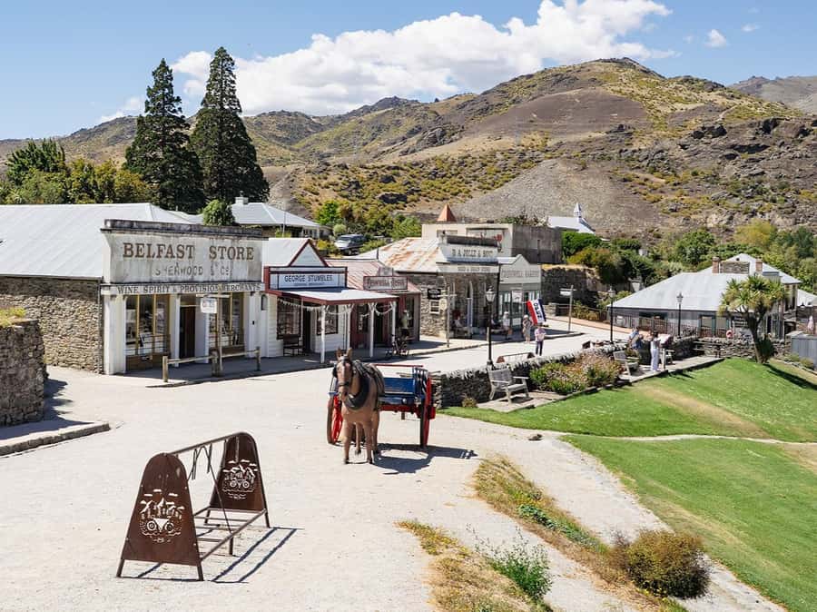 Gourmet Food and Wine Tour with Lunch and Wine Tastings - Wine-barrel cooked lunch, and why it is more than a break
