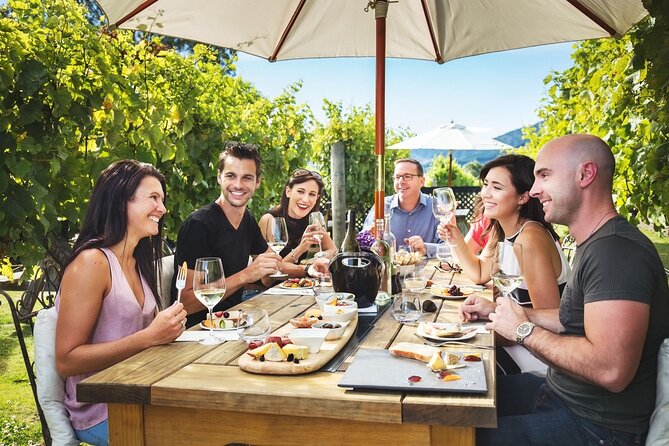 Gourmet Gold Wine Tour: Indulge in Cloudy Bay's finest wines - Key Highlights You Will Actually Notice