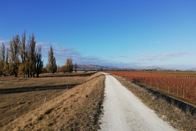 Great Escape Self-Guided Scenic Cycle Winery Tour from Napier - Price and what makes it good value at $49.65 per person